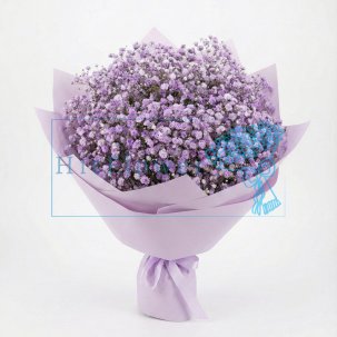 Букет цветов из: Гипсофила